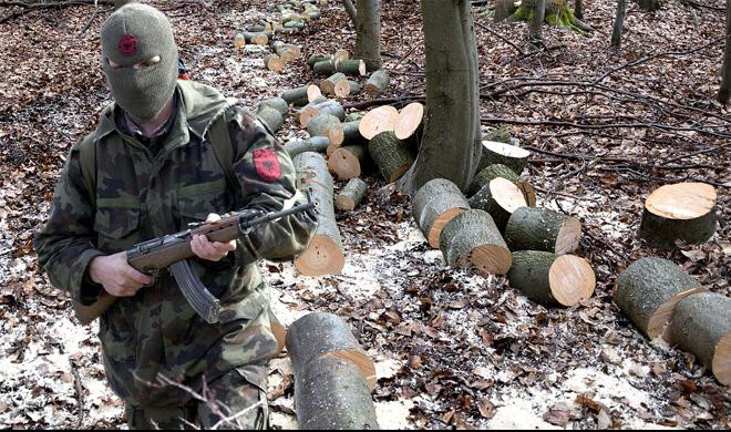 PUCNJAVA NA ADMINISTRATIVNOJ LINIJI SA KOSOVOM I METOHIJOM: Naoružani Albanci posekoše srpsku šumu!